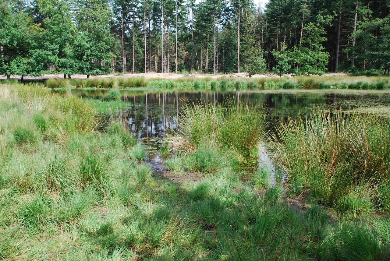 Chalet "De Vliegden" Stroe  Eksteriør billede